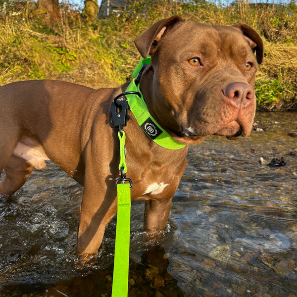 1.4m Lighter Swivel Billowthane Combat Lead | Anti-Tangle & Secure Clip | Waterproof | Neon Green