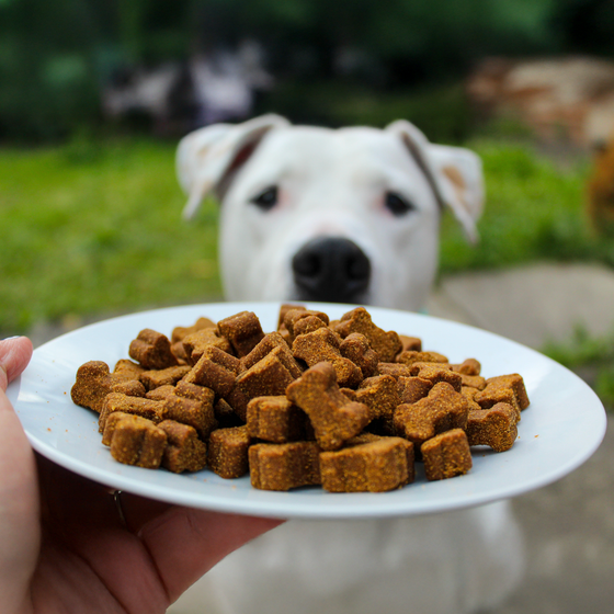 @Picklelilypup