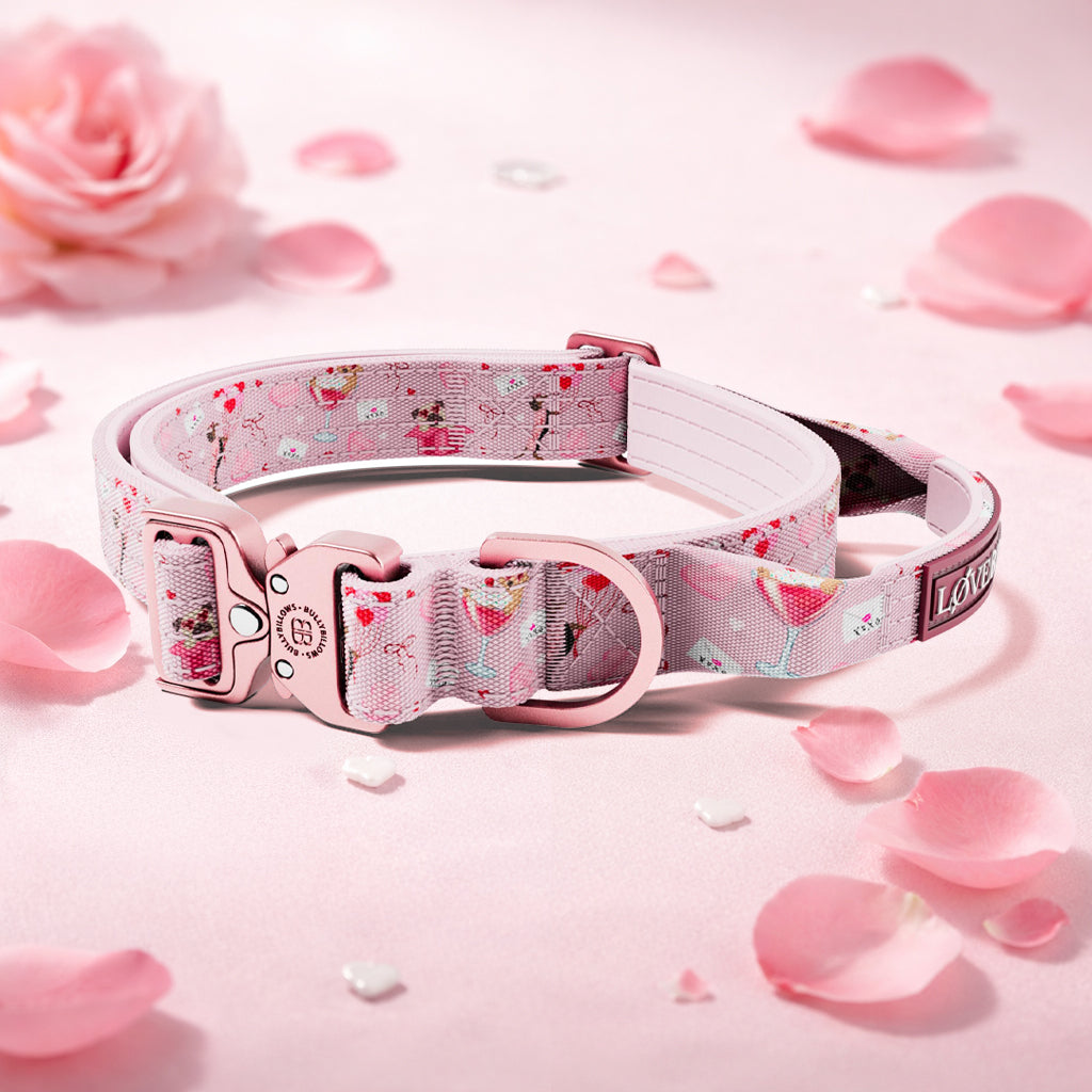 featured image of 2.5cm Lighter Combat® Collar | With Handle