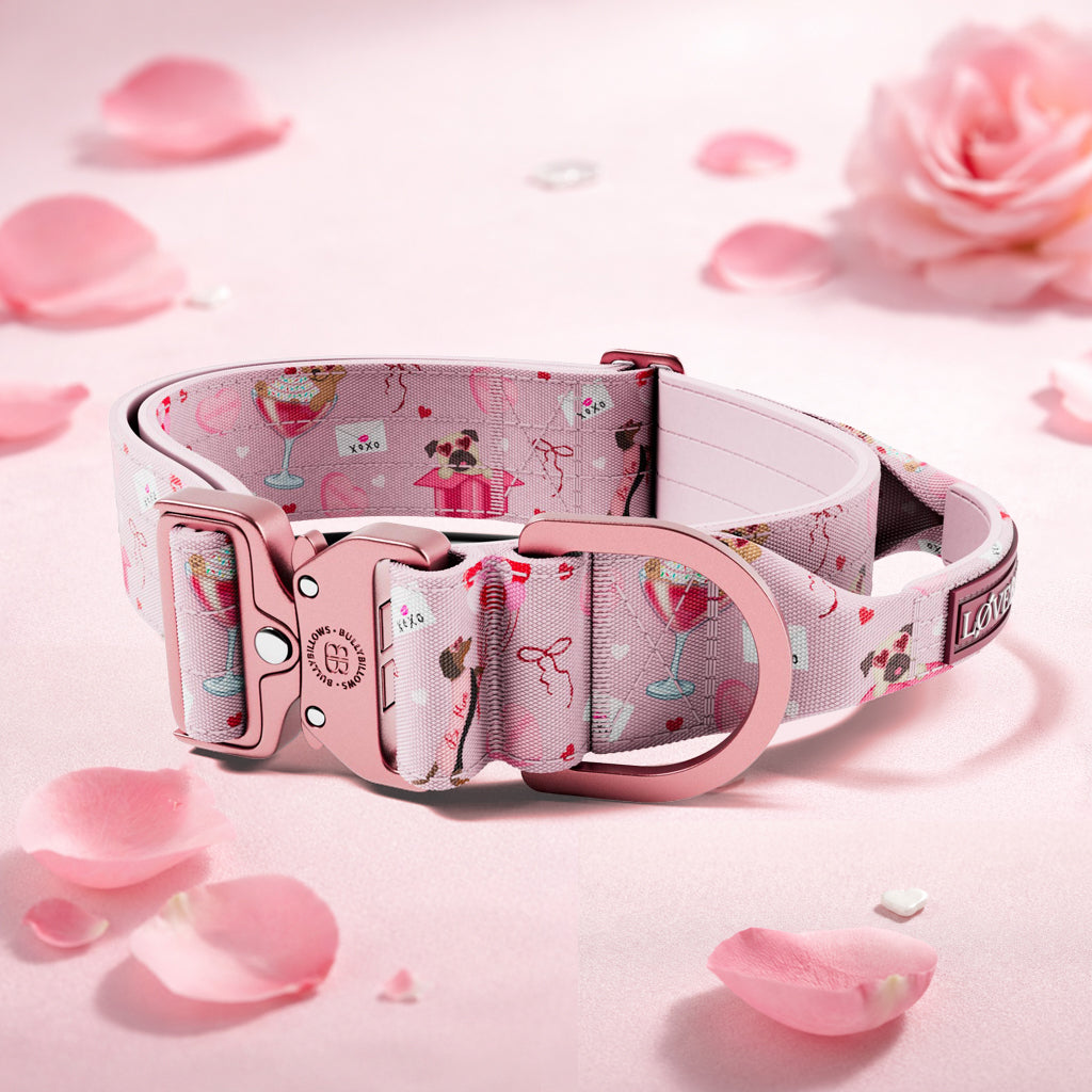 featured image of 5cm Lighter Combat® Collar | With Handle & Secure Clip - Light Love Edition