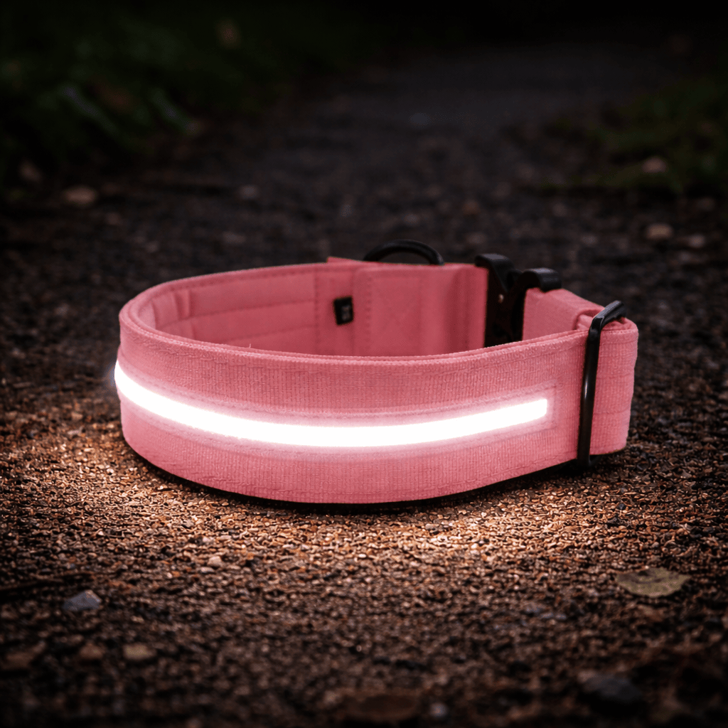featured image of 5cm Light Up LED Combat® Collar | With Handle & Secure Clip - Pink