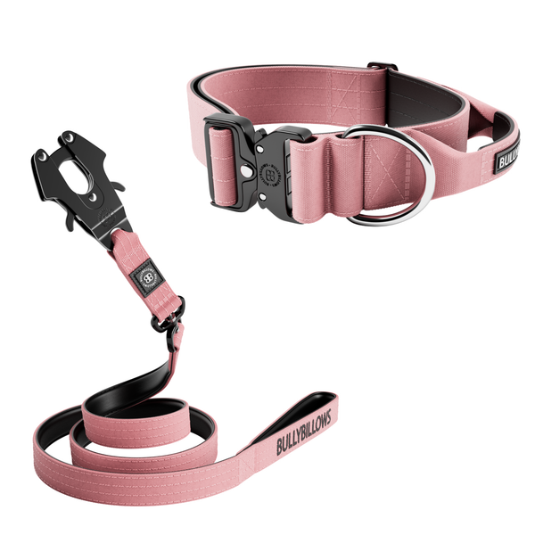 5cm Combat® Collar & Swivel Combat Lead Bundle - Pink
