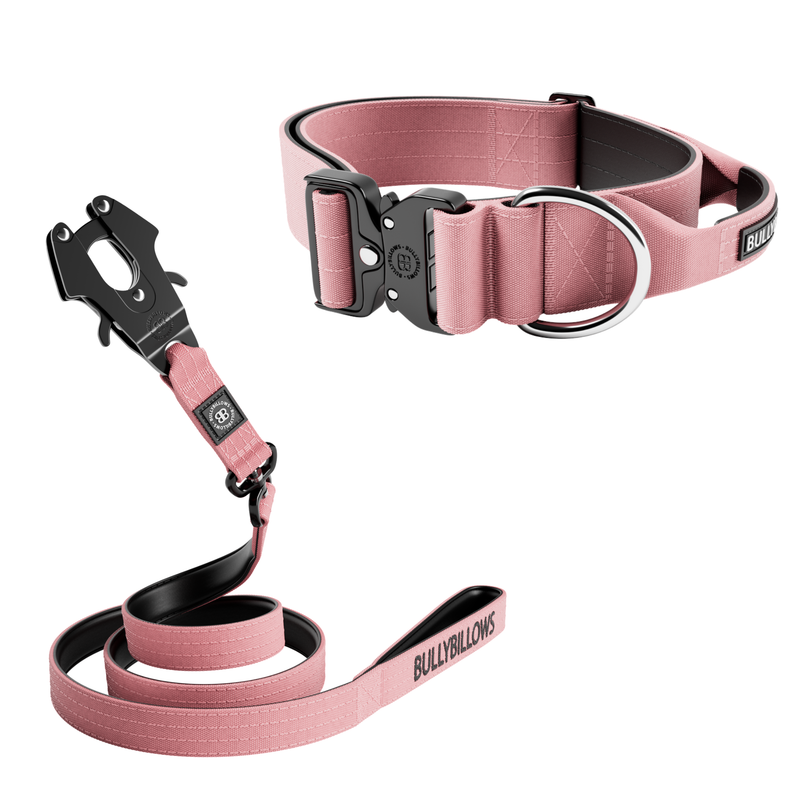 5cm Combat® Collar & Swivel Combat Lead Bundle - Pink
