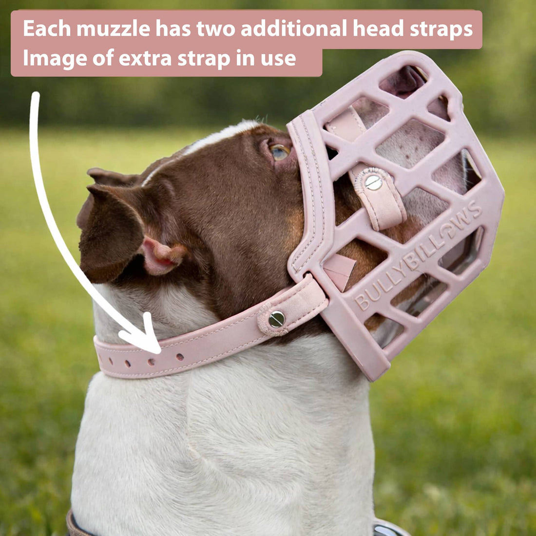 featured image of Premium Comfort Muzzle | x2 Additional Head Straps - Pink