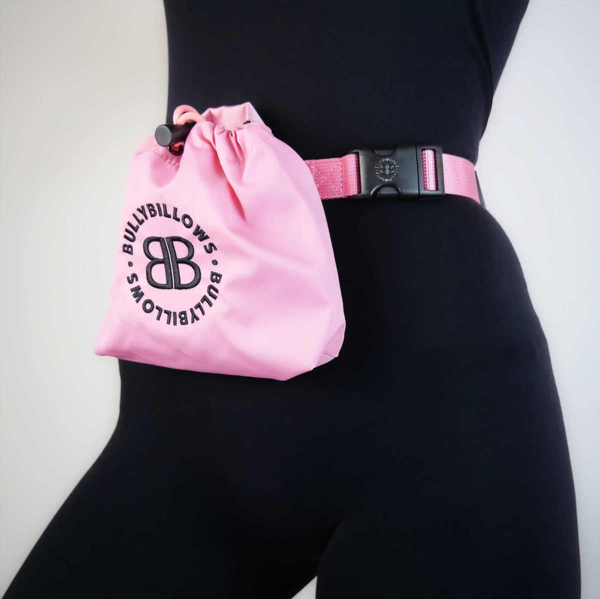 Dog Treat Pouch