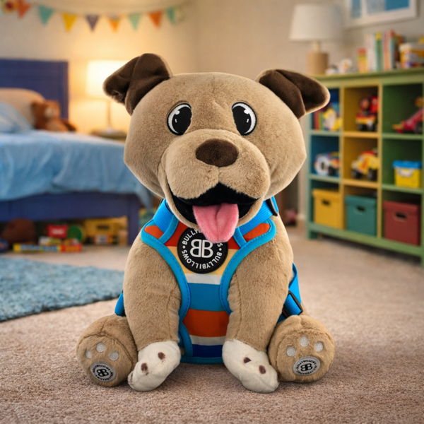 XL Bully Plush Teddy - With Box