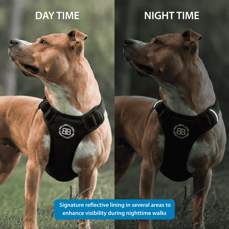 Comfort Premium Harness | Non Restrictive - Black