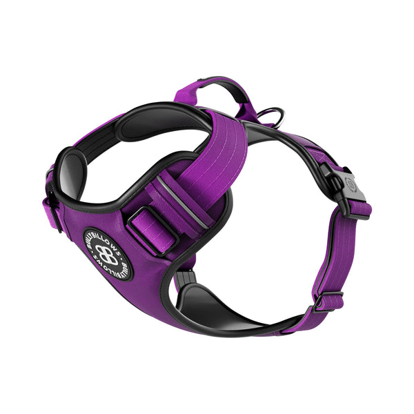 Comfort Premium Harness | Non Restrictive - Purple