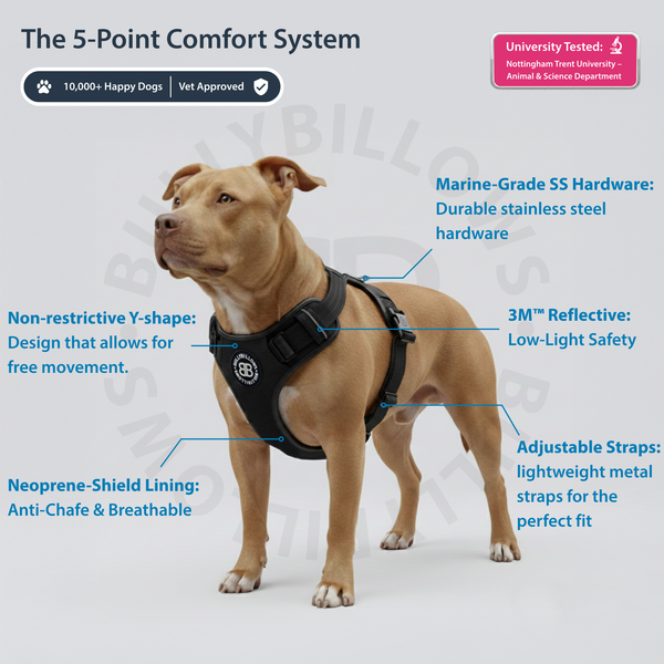 Premium Comfort Herringbone Harness | Non Restrictive - Elegant Cream