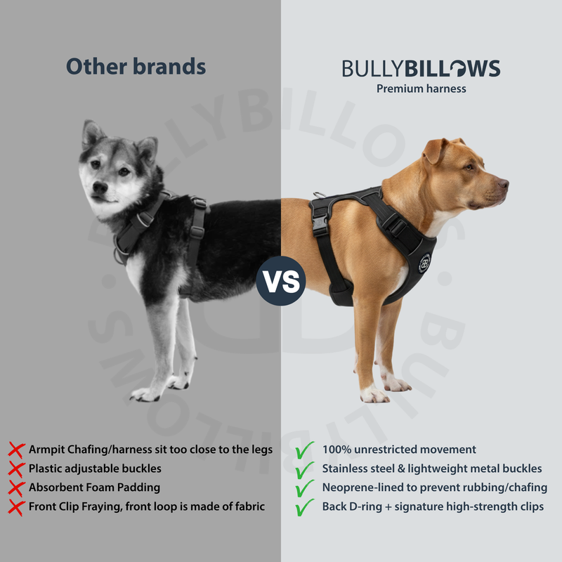 Comfort Premium Harness | Non Restrictive - Black