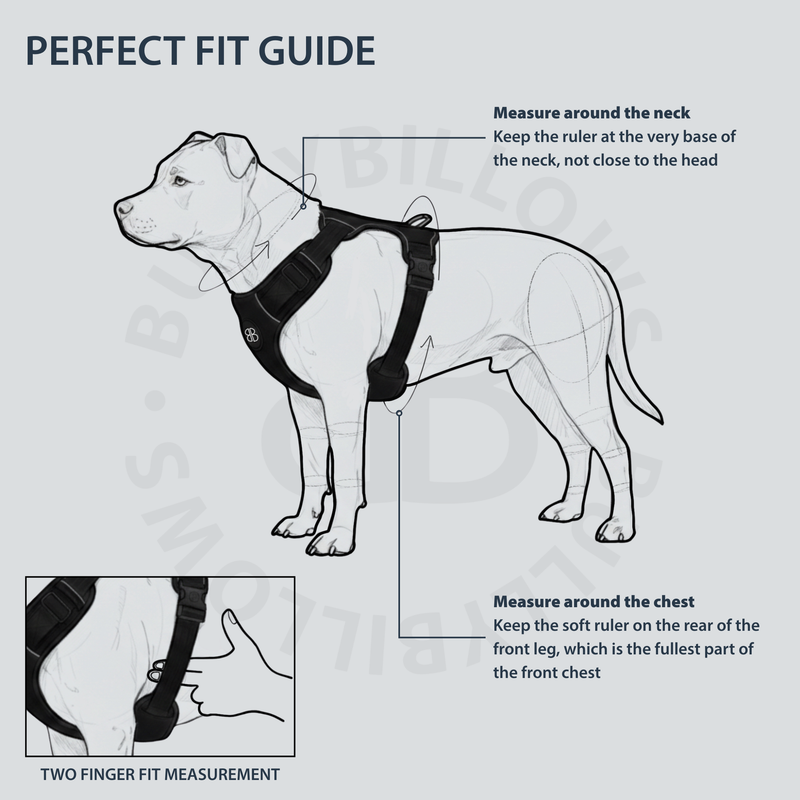Comfort Premium Harness | Non Restrictive - Black