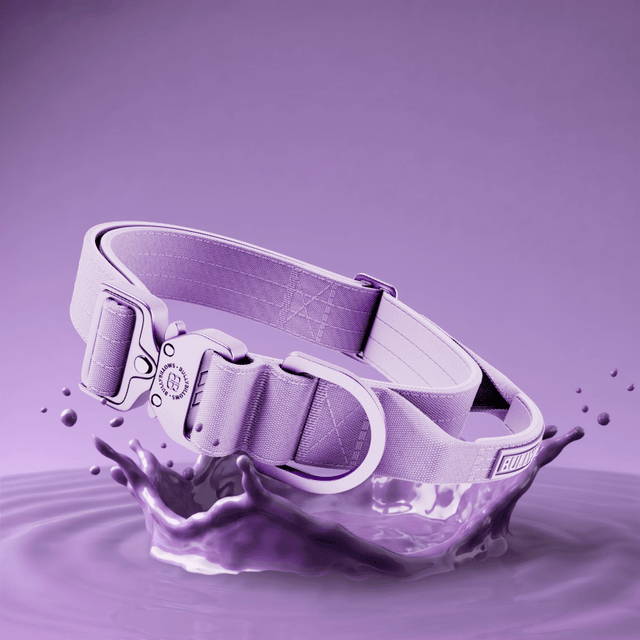 Lighter Combat Collar