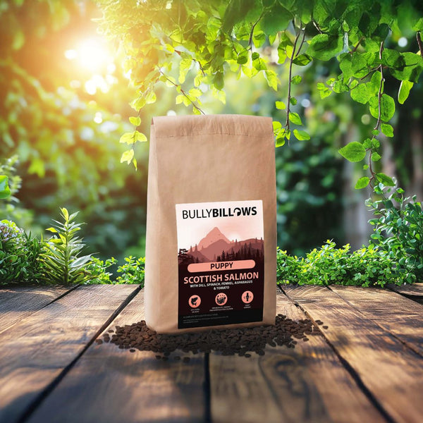 Scottish Salmon Dry Super Food - Puppy