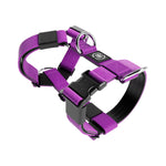 TRI-Harness® | Anti-Pull, Adjustable & Durable - Dog Trainers Choice - Purple v2.0