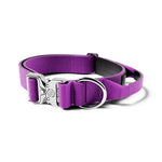 4cm Combat® Collar | With Handle & Rated Clip - PLATINUM - Purple v2.0