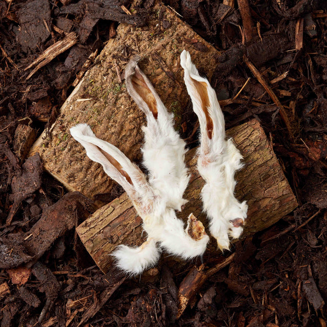 Rabbit Ears - 100g