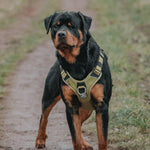 Hurricane Harness - Non Restrictive, With Handle, Adjustable & Reflective - All Breeds - Orange