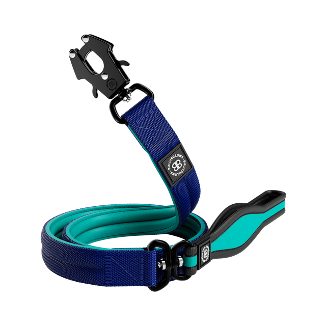 1.2m Mini Combat® Lead - Blue & Turquoise