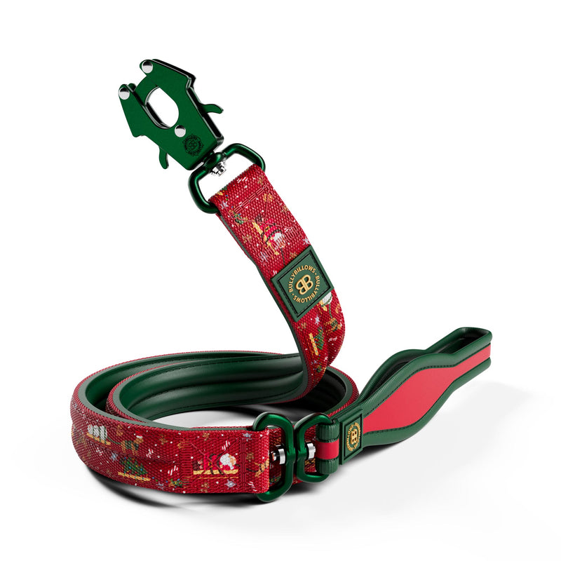 MerryBillows 4cm Collar and Lead Bundle with Treats and Teddy - Large Dog