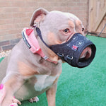 Fabric Safety/Emergency Muzzle - Signature Black