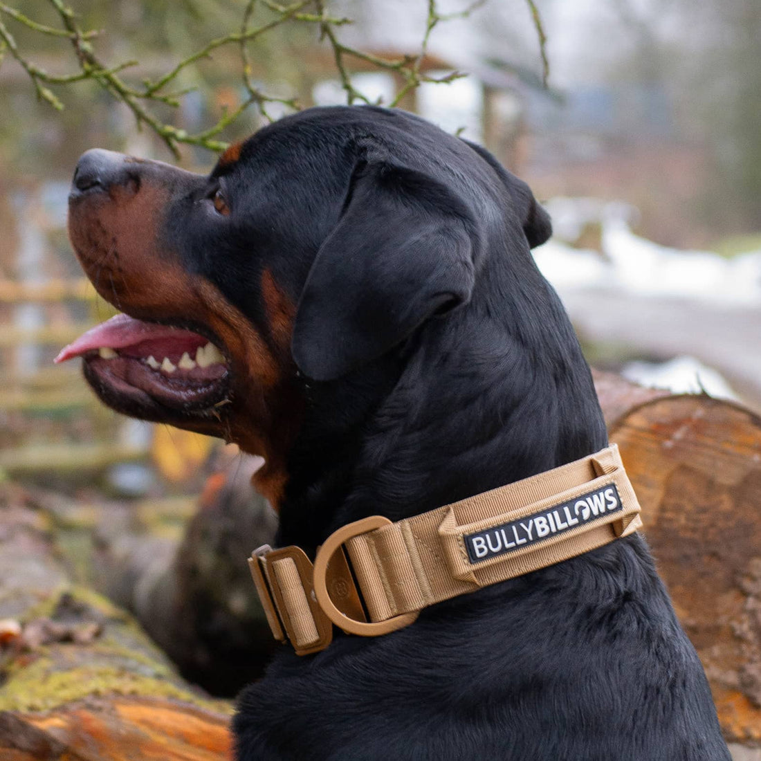 featured image of 5cm Lighter Combat® Collar | With Handle Secure Clip - Black x Black