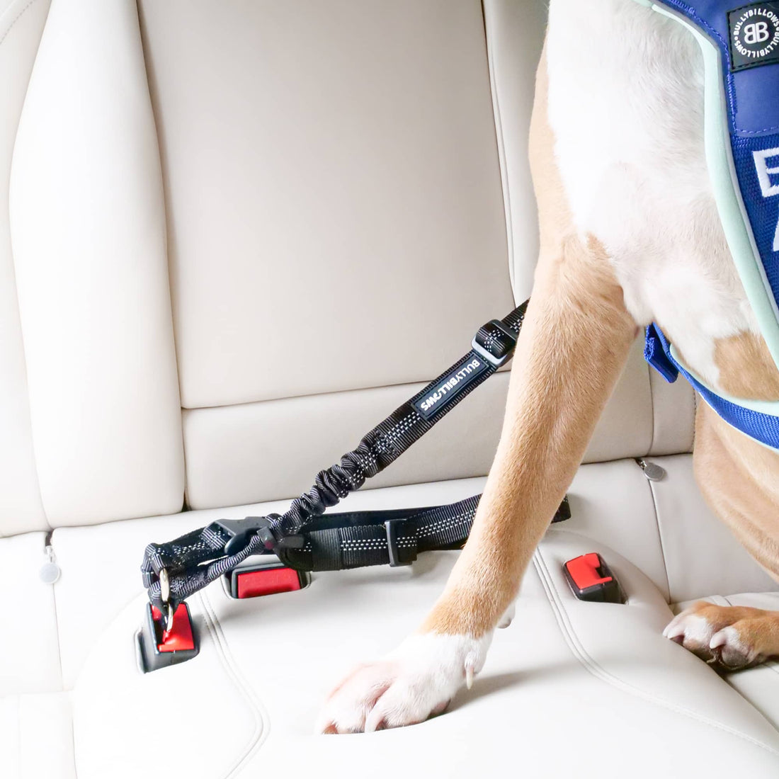 featured image of Headrest Car Seatbelt Safety