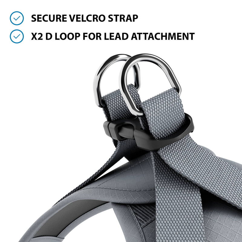 Step-in Harness & Active Lead Bundle – Grey