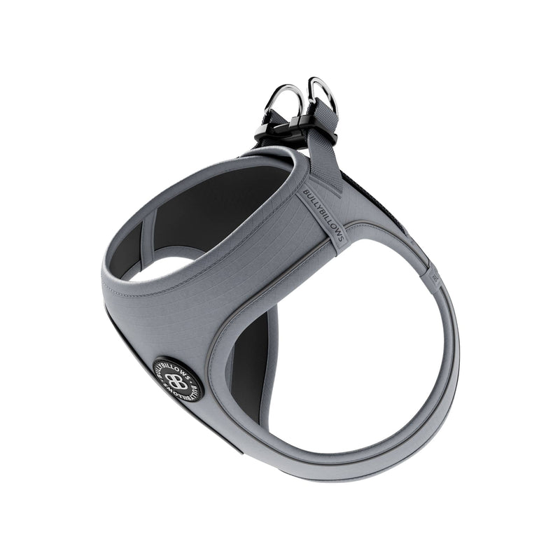 Step-in Harness & Active Lead Bundle – Grey