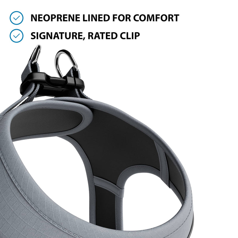 Step-in Harness & Active Lead Bundle – Grey
