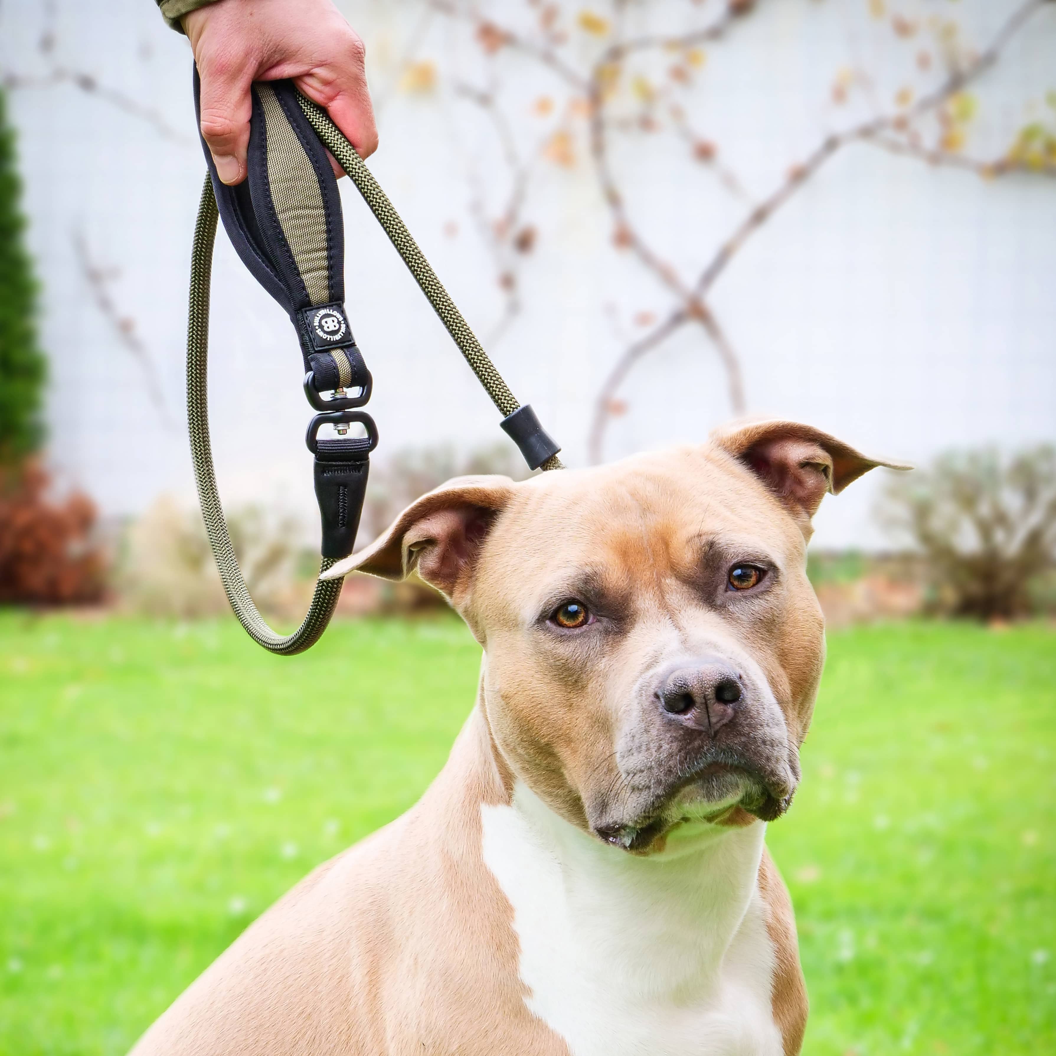 Canine equipment beyond control leash sale