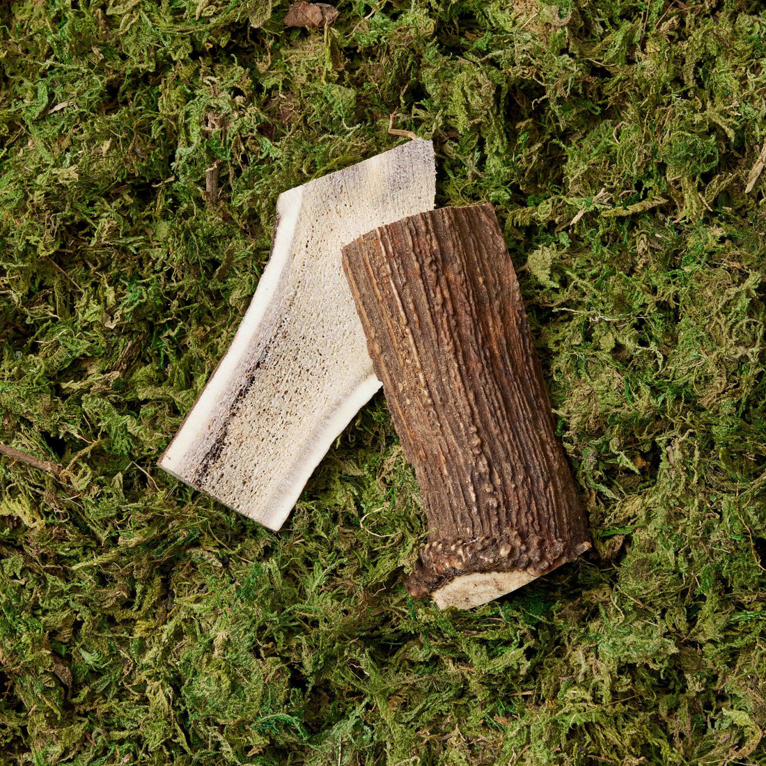 featured image of Split Antlers