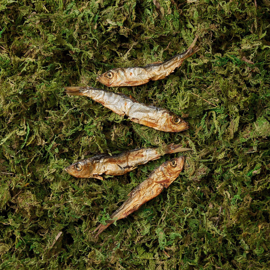 featured image of Sprats - 100g