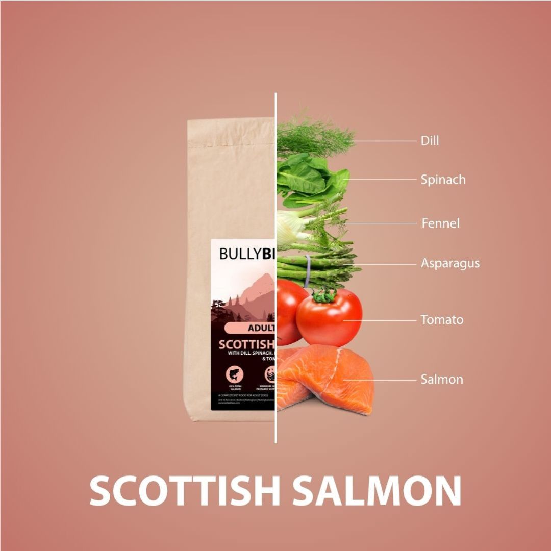 featured image of Scottish Salmon Dry Super Food - Senior
