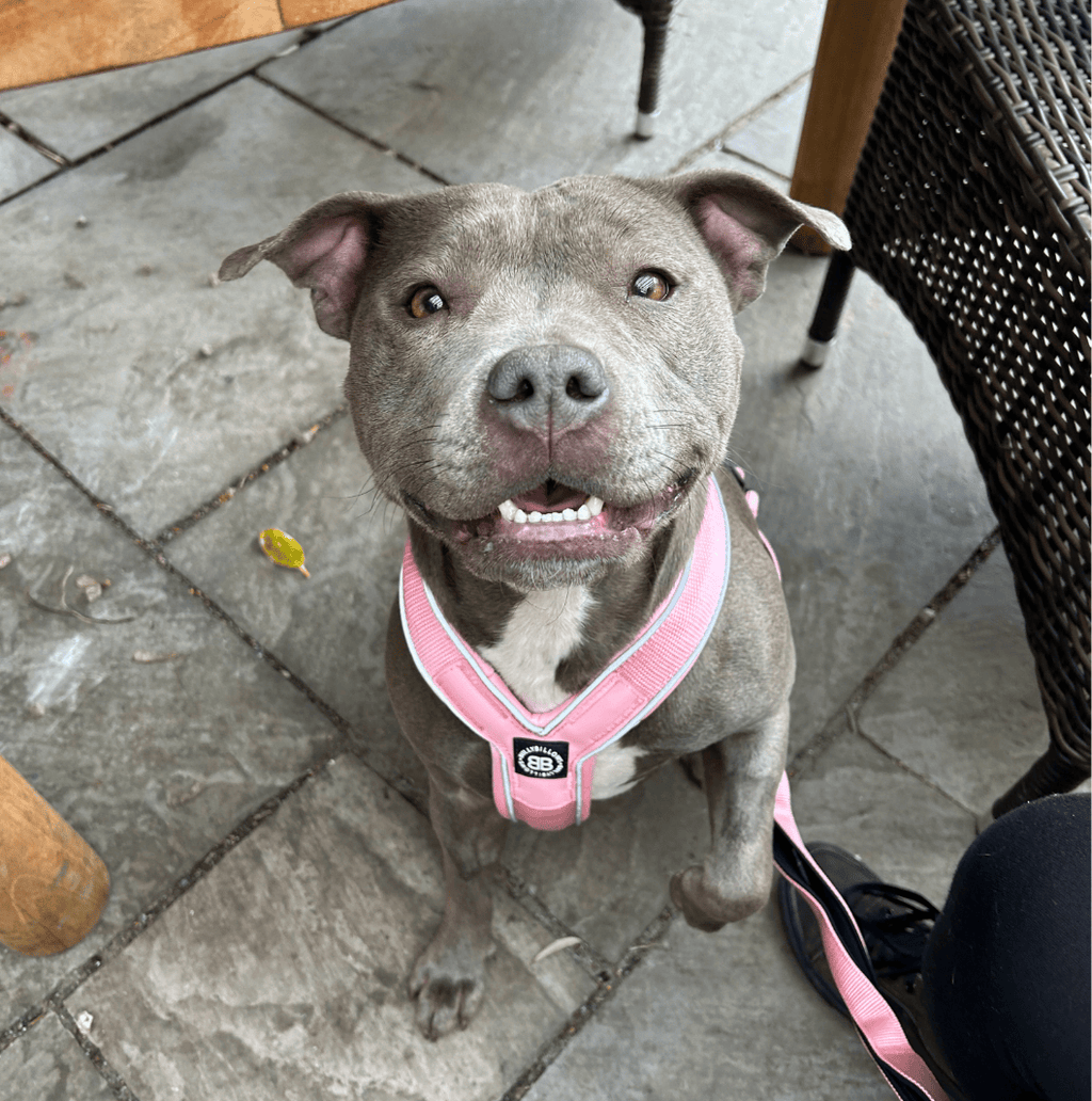Myla