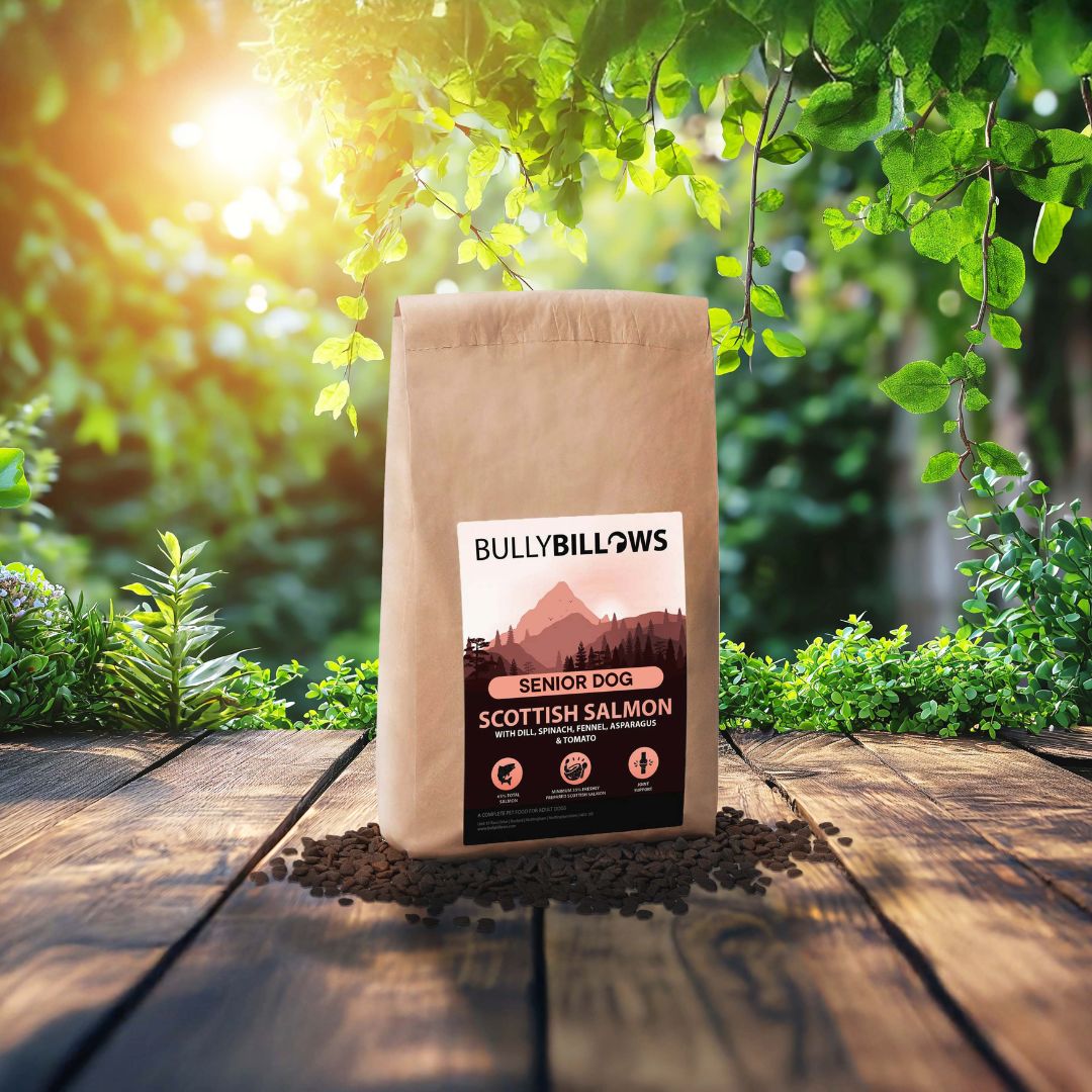 featured image of Scottish Salmon Dry Super Food - Senior