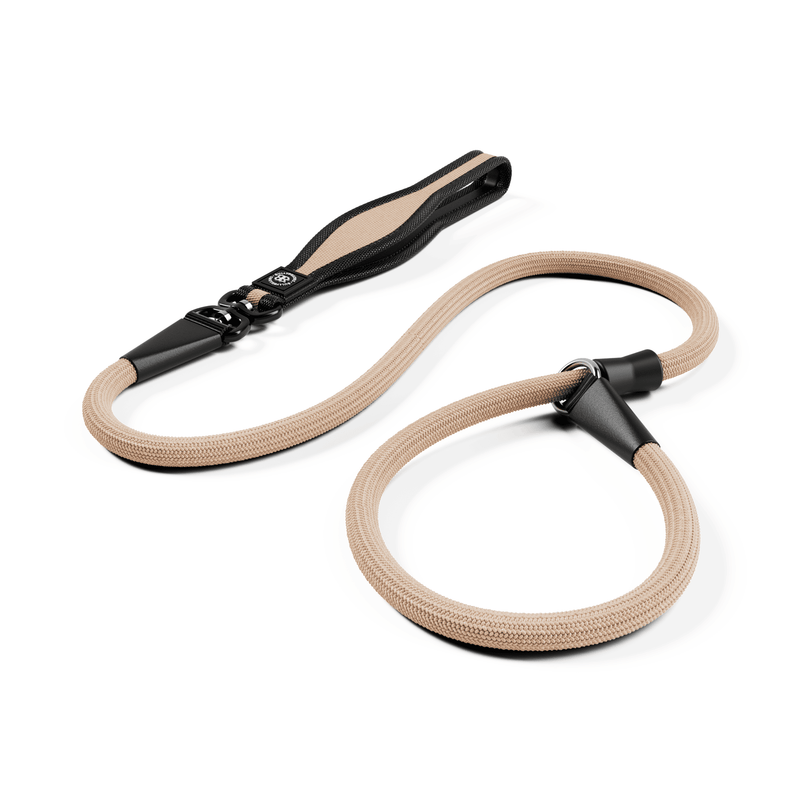 Slip Training Lead | Anti Pull & No Choking -  Light Tan