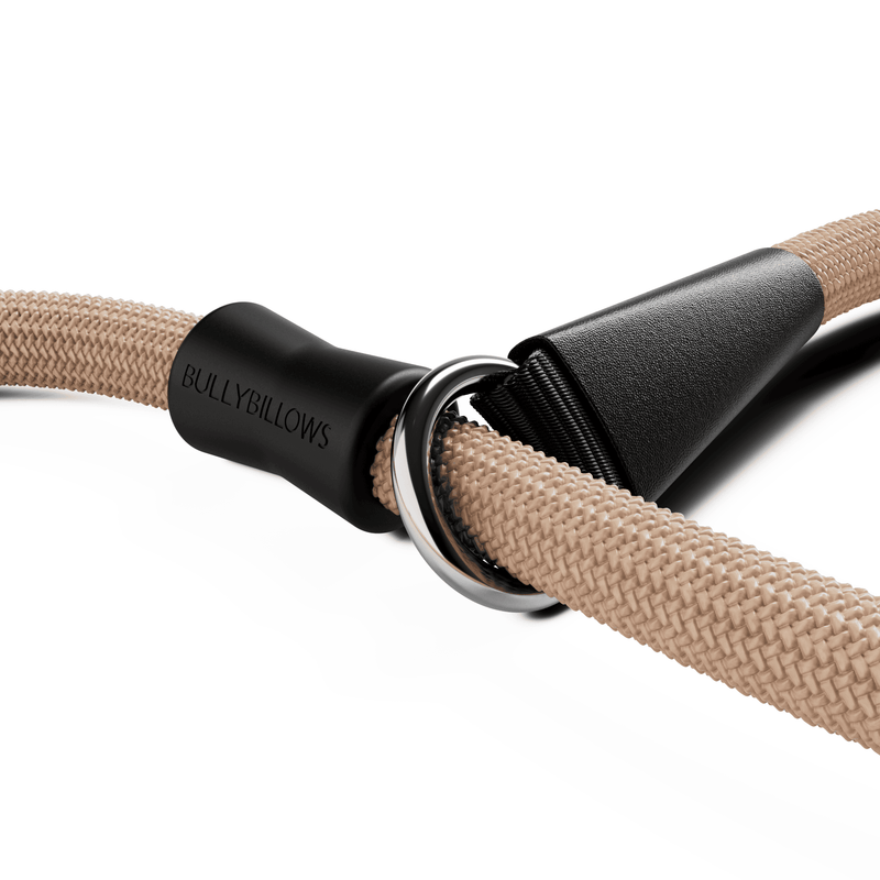 Slip Training Lead | Anti Pull & No Choking -  Light Tan