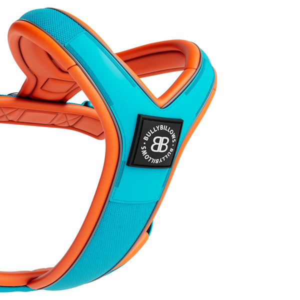 Slip on Harness | Foam Padded - Light Blue x Orange