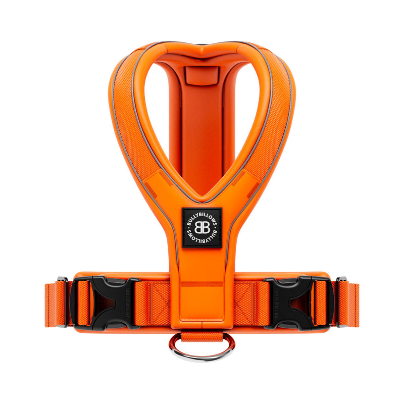 Slip on Harness | Foam Padded - Orange