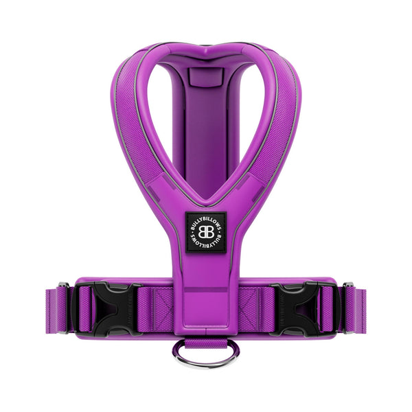 Slip on Harness | Foam Padded - Purple