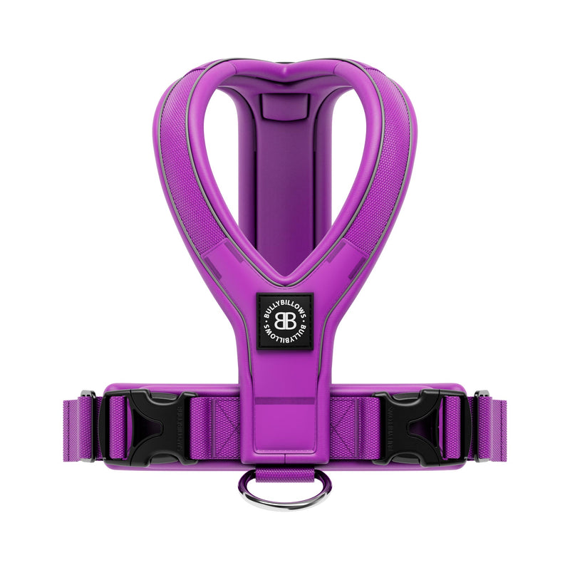 Slip on Harness | Foam Padded - Purple