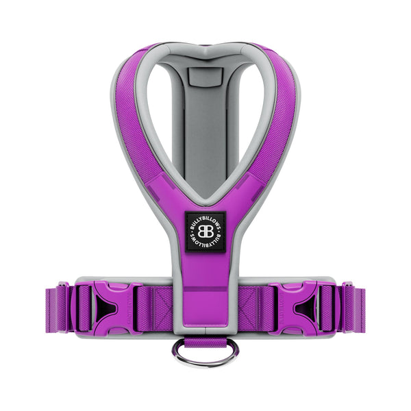 Slip on Harness | Foam Padded - Purple x Metal Grey