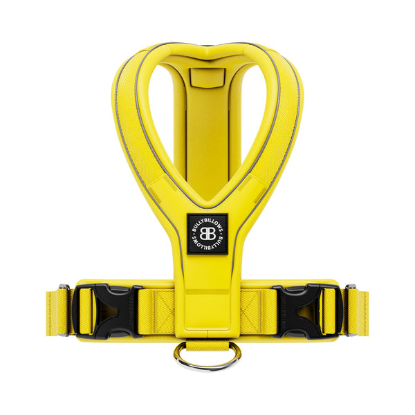 Slip on Harness | Foam Padded - Yellow
