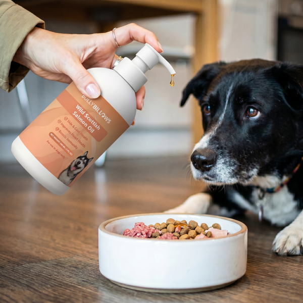 Add Salmon Oil to breakfast
