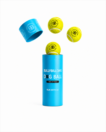 Dog Tennis Balls