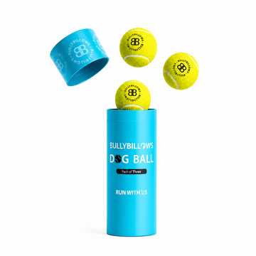 Dog Tennis Balls