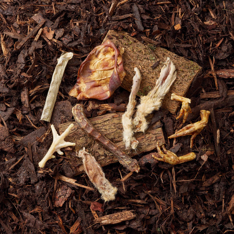 Dog Treat Variety Box - 20 Pieces