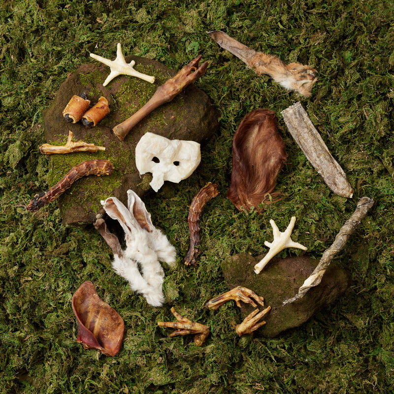 Natural Dog Food & Treats