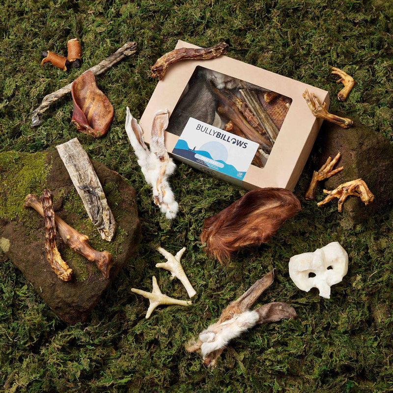 Dog Treat Variety Box - 20 Pieces