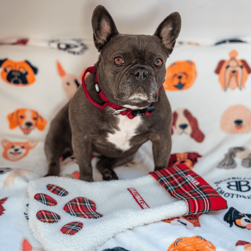 Dog Paw Christmas Stocking